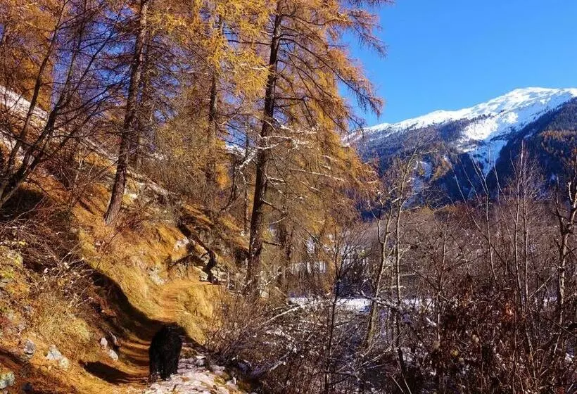 Hotelli B&b Villa Stelvio