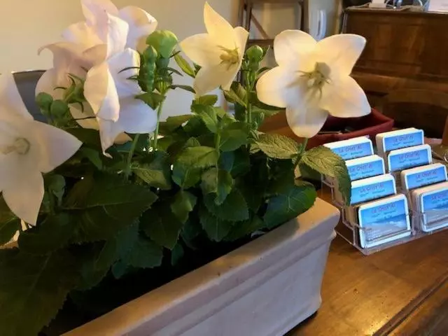 Hotelli Le Crist Al, Hôtel Familial, Climatisé, En Front De Mer