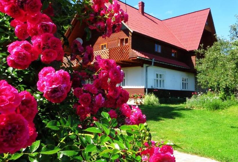 Pensiunea Poiana De Vis