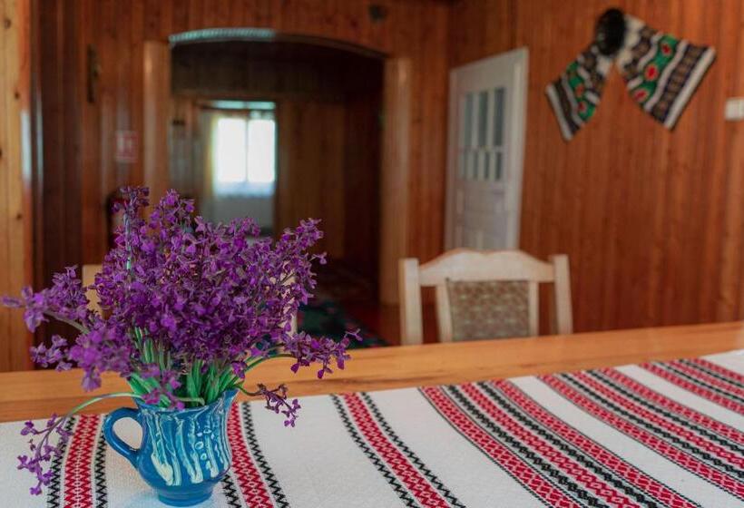 Pensiunea Poiana De Vis