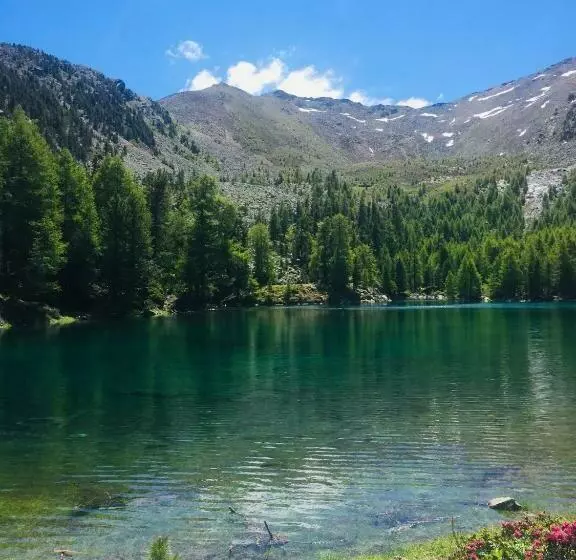 Tannerhof Bed & Breakfast