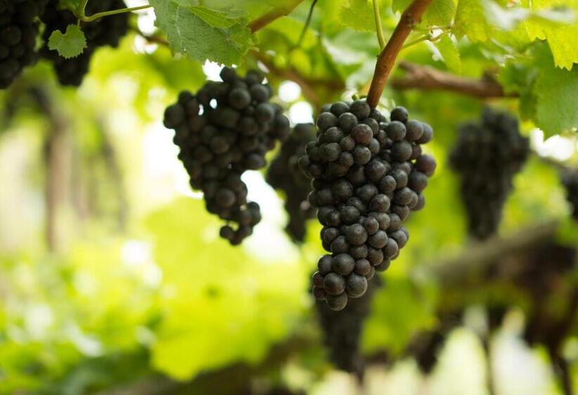 Tannerhof Bed & Breakfast