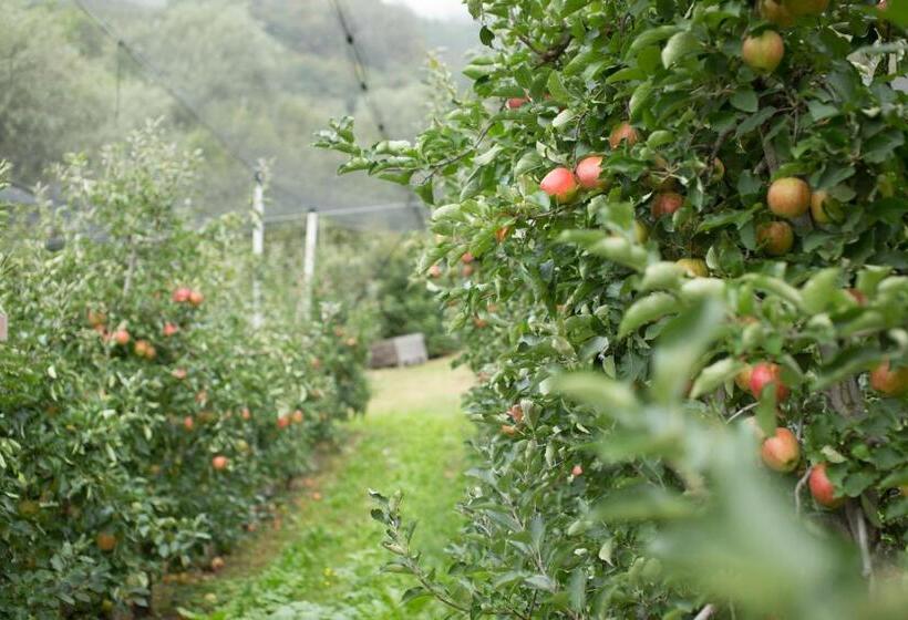 Tannerhof Bed & Breakfast