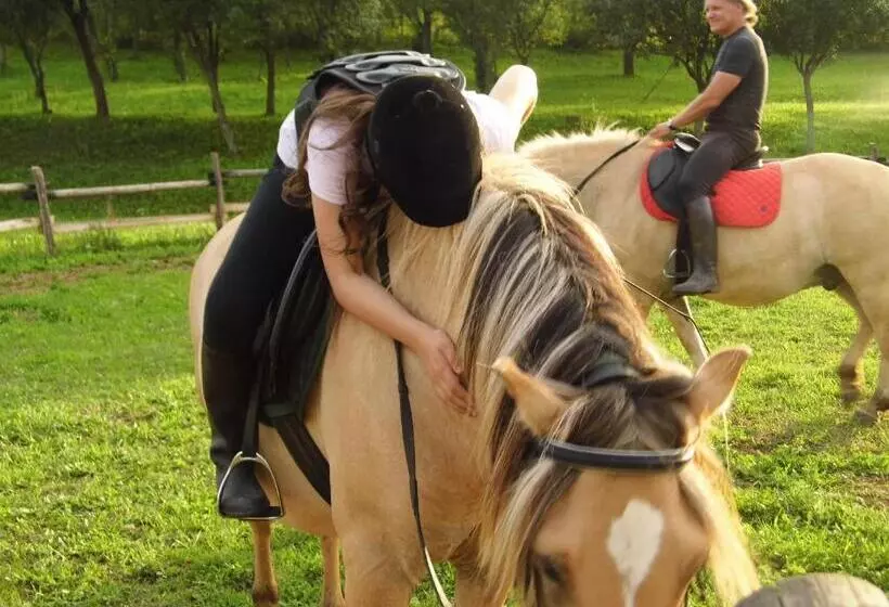 Majatalo Szakál Vendégház