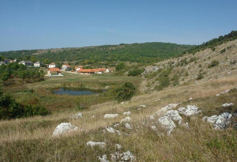 펜션 Szakál Vendégház