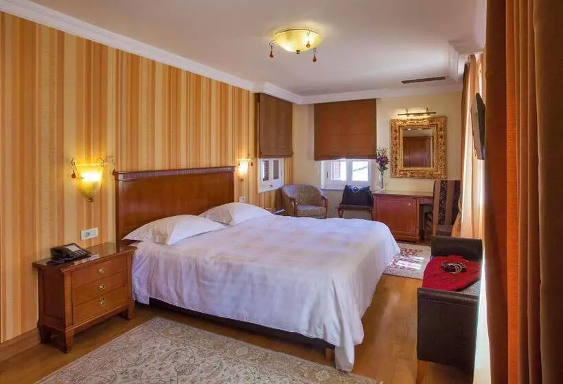 בית מלון כפרי Aetoma