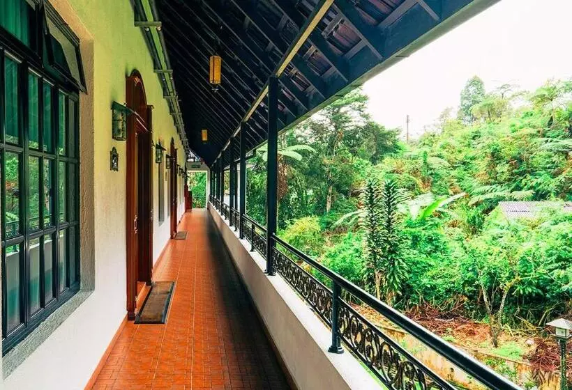 ホテル Casa De La Rosa