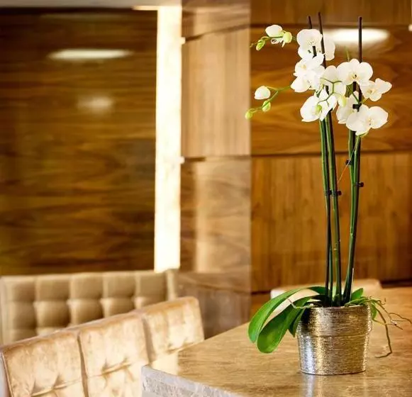 Отель Dovitel Boutique