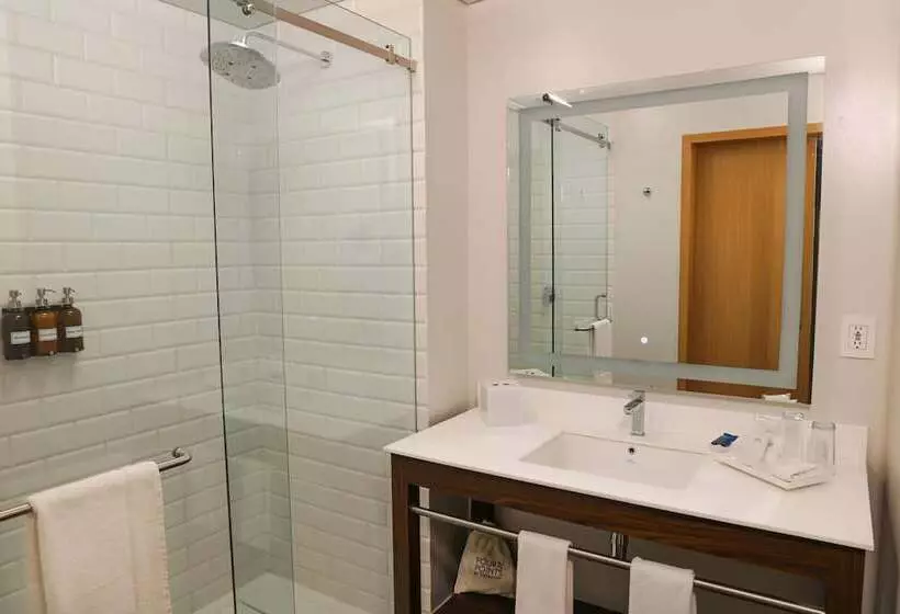 ホテル Four Points By Sheraton Mexico City, Colonia Roma