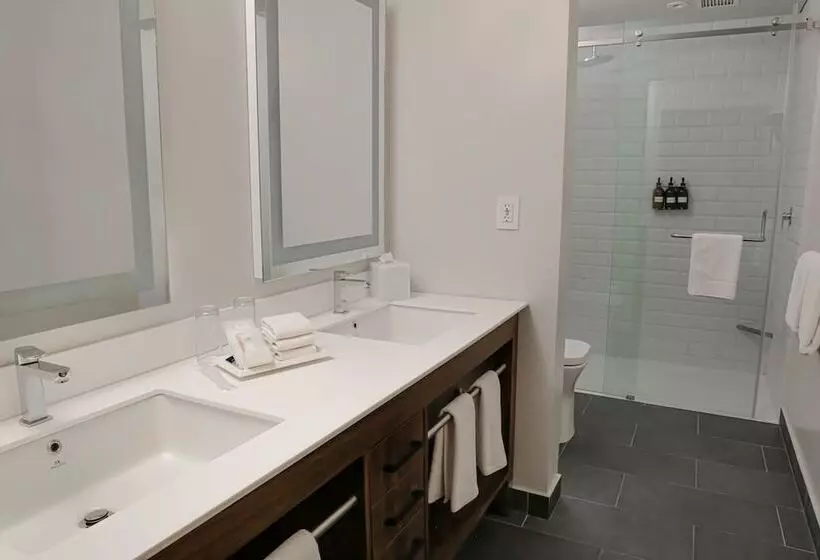 ホテル Four Points By Sheraton Mexico City, Colonia Roma