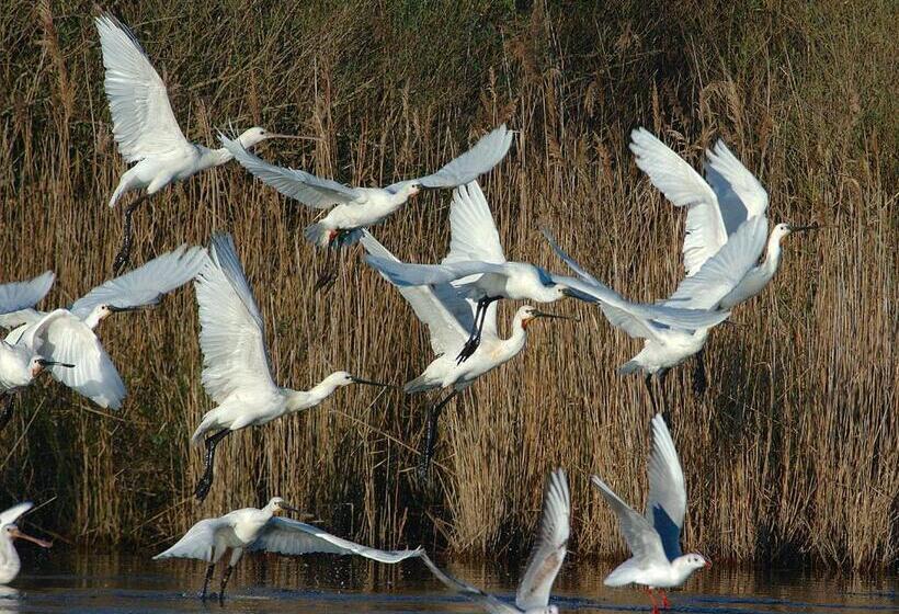 فندق Madame Vacances Les Rives Marines