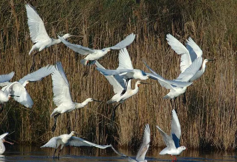 Отель Madame Vacances Les Rives Marines