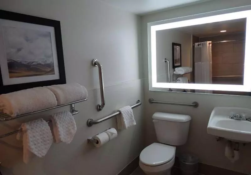 ホテル Best Western Premier Denver East