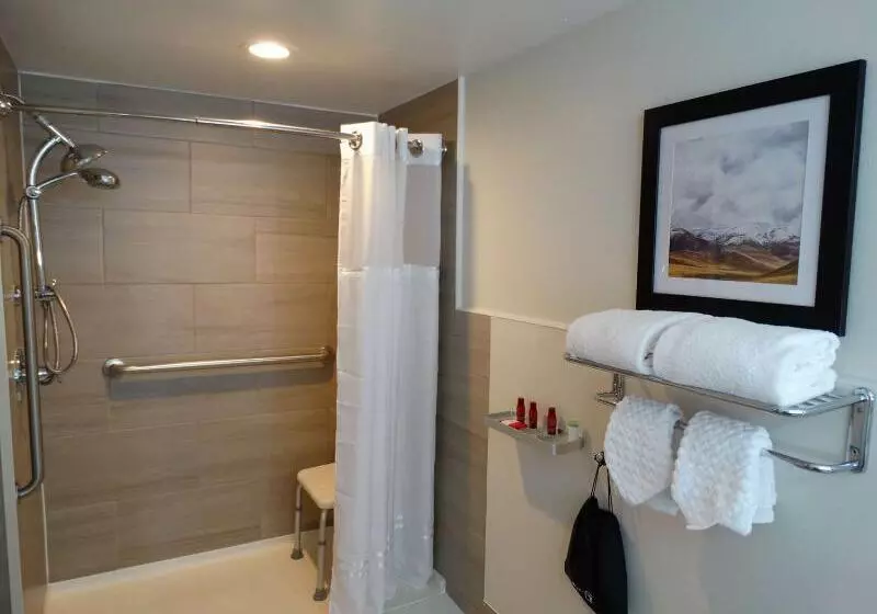 ホテル Best Western Premier Denver East
