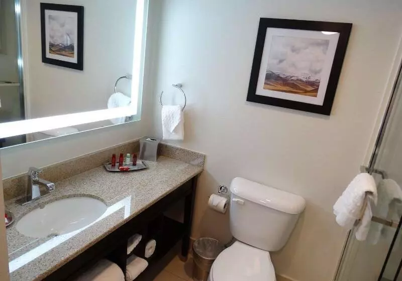 ホテル Best Western Premier Denver East