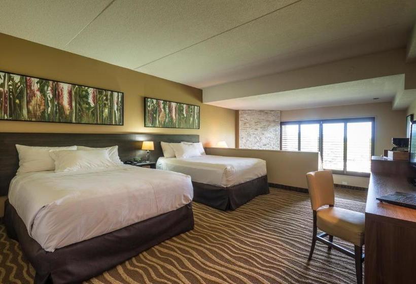 Отель Horseshoe Resort