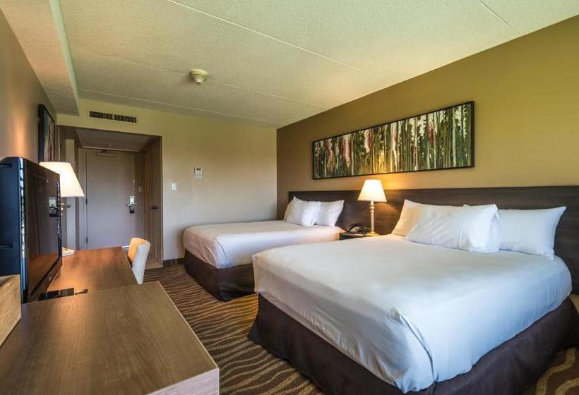 Отель Horseshoe Resort