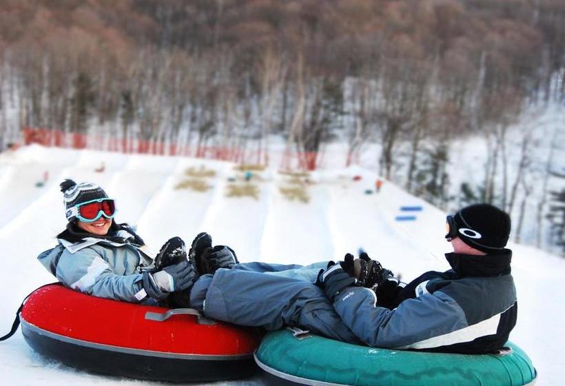 Отель Horseshoe Resort