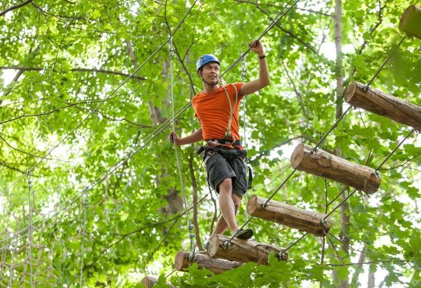 Отель Horseshoe Resort