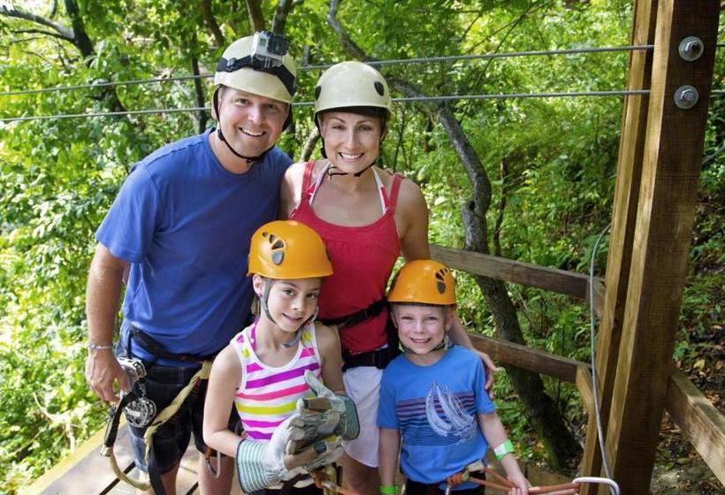 Отель Horseshoe Resort