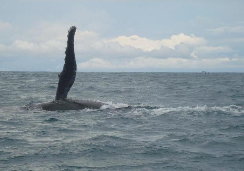 酒店 La Cusinga Eco Lodge