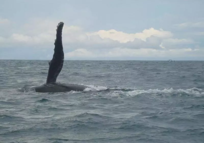 酒店 La Cusinga Eco Lodge