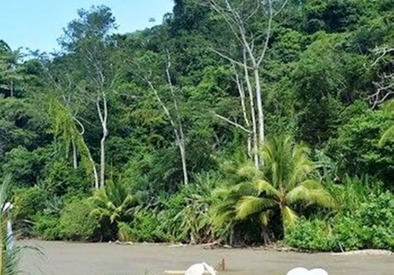 酒店 La Cusinga Eco Lodge