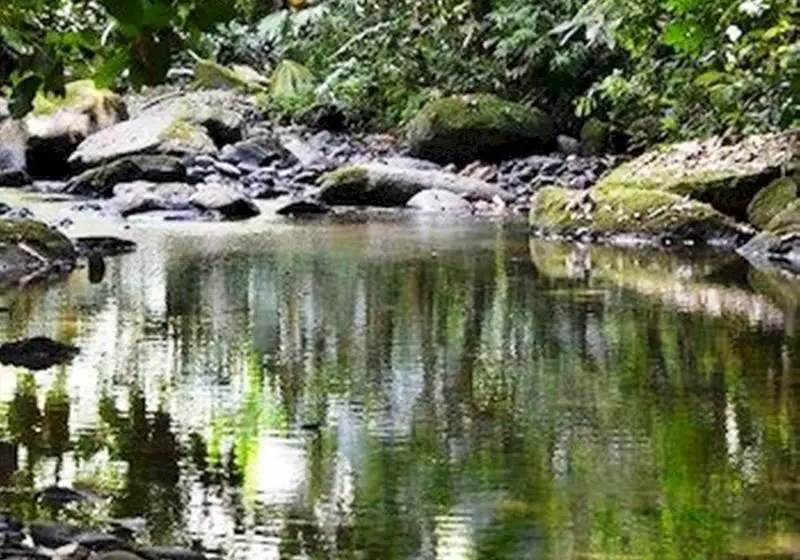 酒店 La Cusinga Eco Lodge