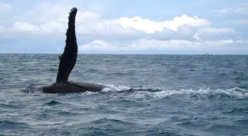 酒店 La Cusinga Eco Lodge