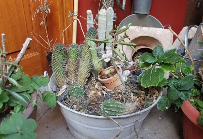 هتل روستایی Rural Fonda De La Tea The Best Location And The Best Views