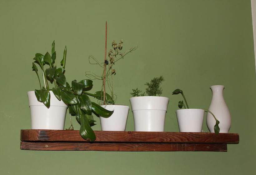 هتل روستایی Rural Fonda De La Tea The Best Location And The Best Views