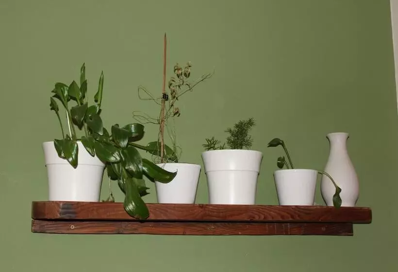 Сельский отель Rural Fonda De La Tea The Best Location And The Best Views