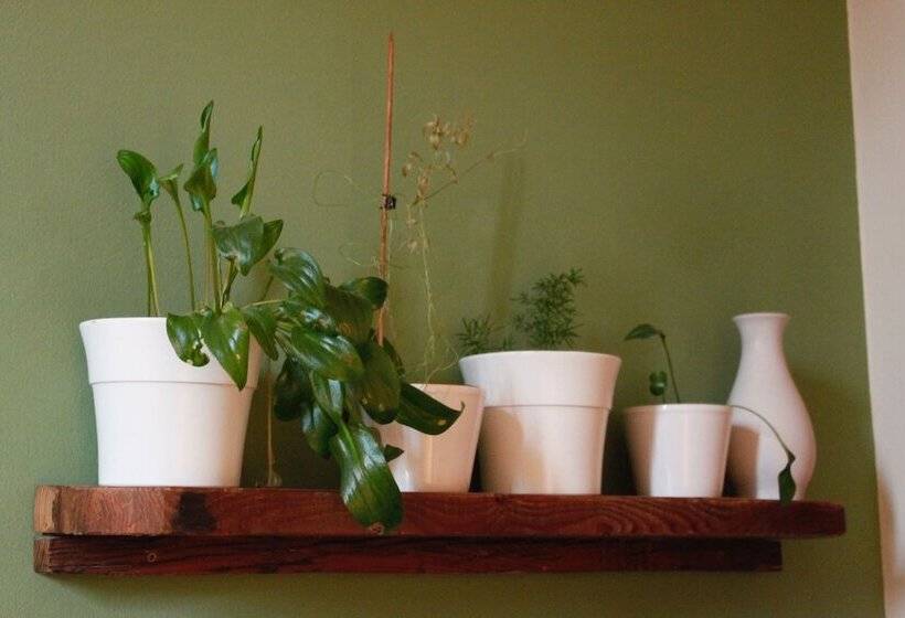 هتل روستایی Rural Fonda De La Tea The Best Location And The Best Views