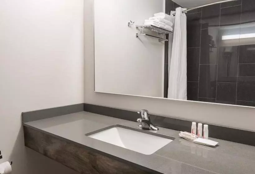 בית מלון כפרי Super 8 By Wyndham Downtown Toronto