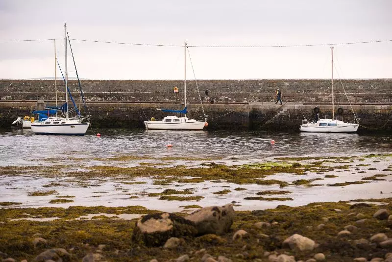 Отель The Twelve