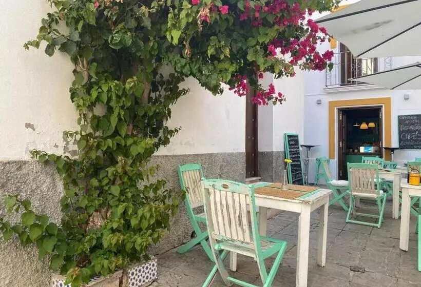 בית מלון כפרי Vagamundos