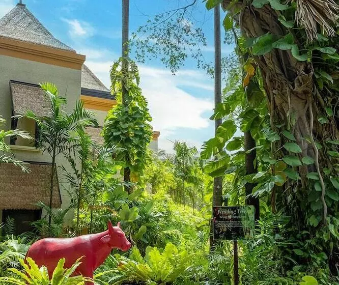 Paradox Resort Phuket Sha Plus