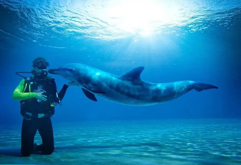 هتل Atlantis, The Palm