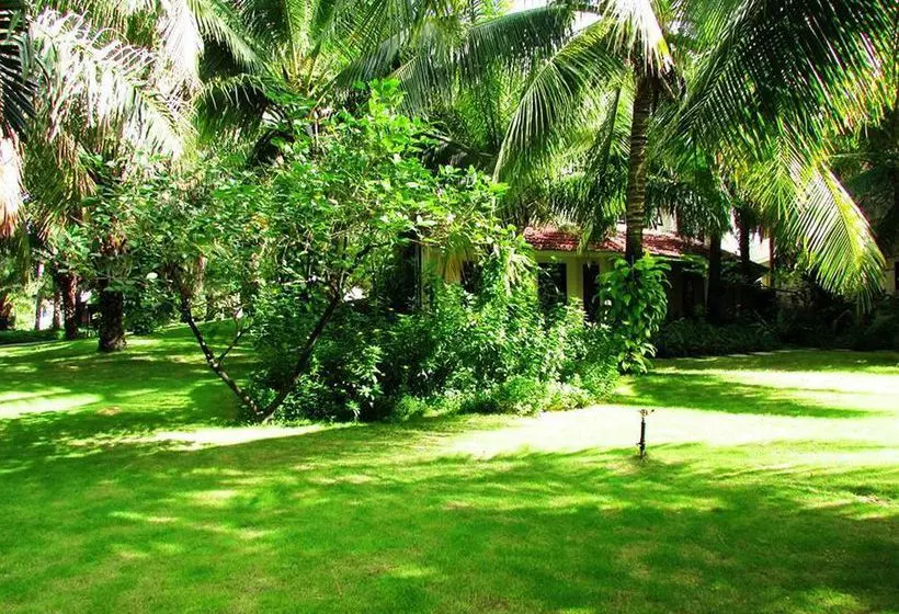 ホテル Beach Resort Phan Thiet