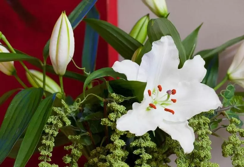 ホテル Du Parc Roissy Villepinte  Parc Des Expositions