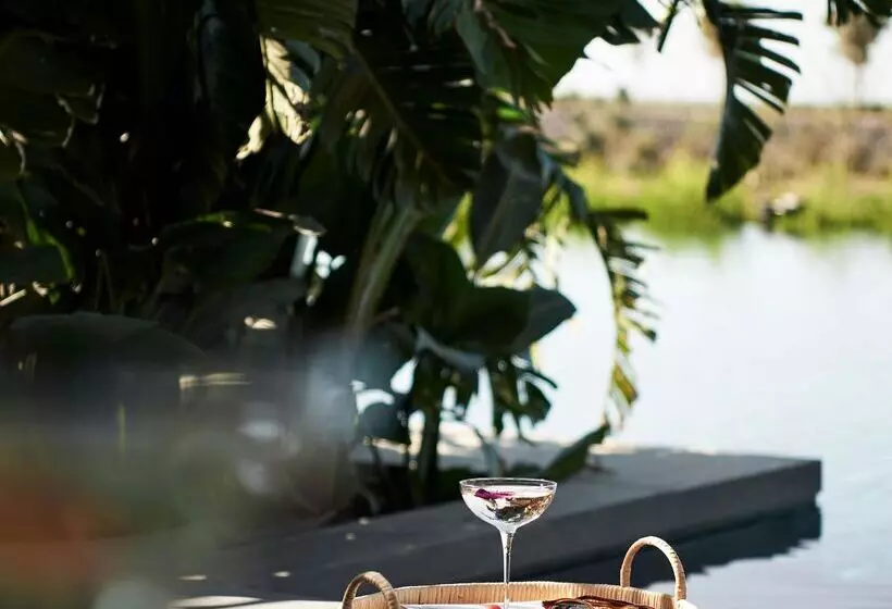 호텔 Maxx Royal Bodrum