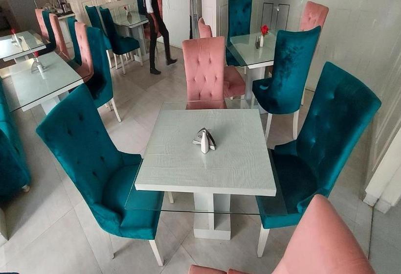 Hotel Magenta Jaipur