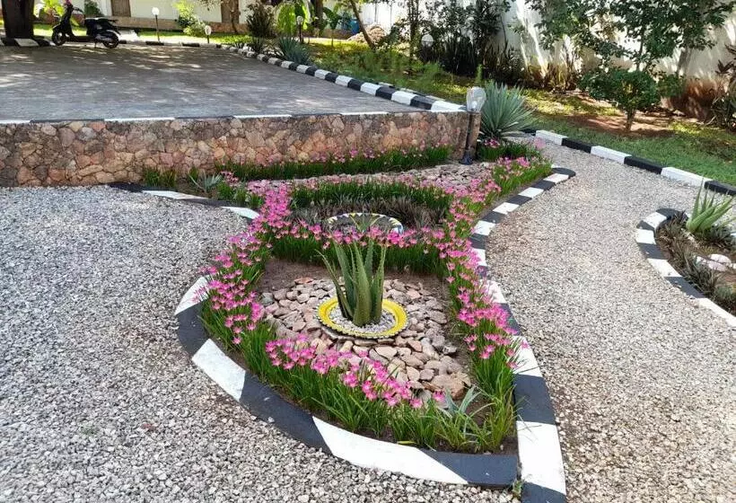 هتل Safina Resort