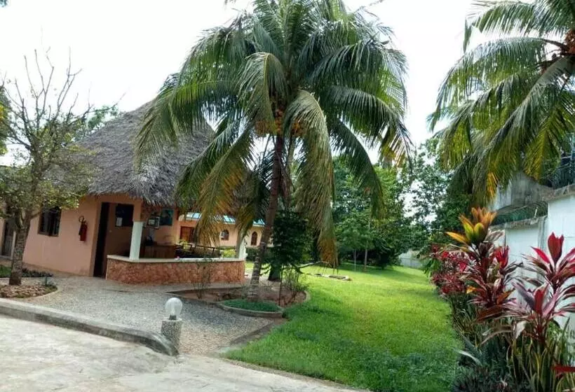 هتل Safina Resort