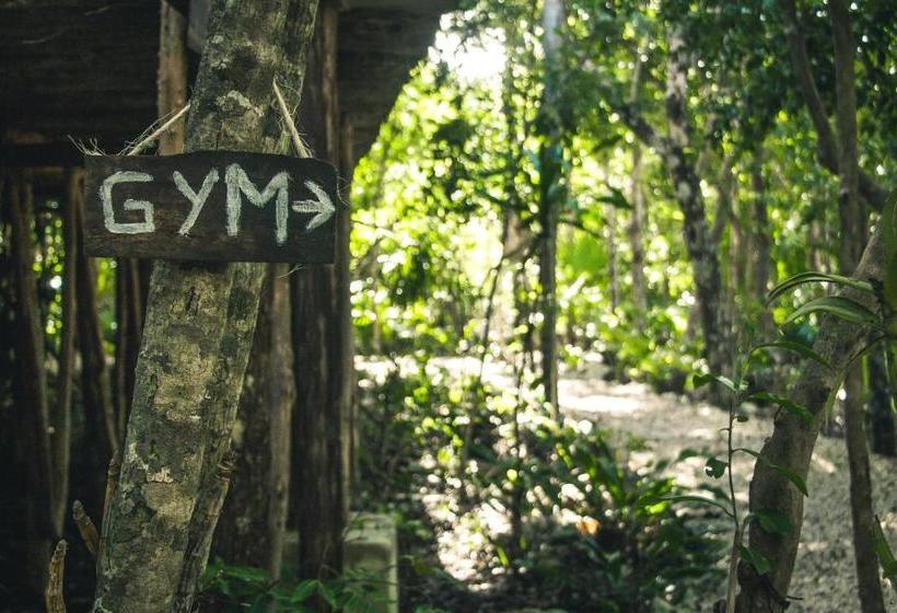 Hotel Roc Jungle Tulum