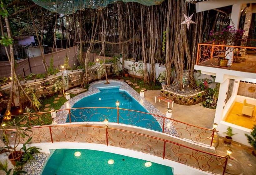 Singing Tree By Nirvana Hotels