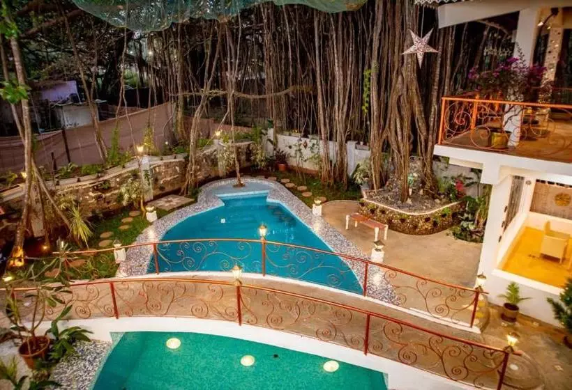 Singing Tree By Nirvana Hotels