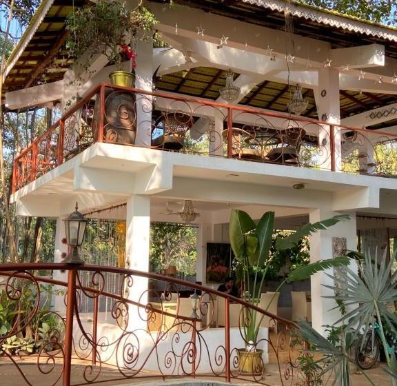 Singing Tree By Nirvana Hotels