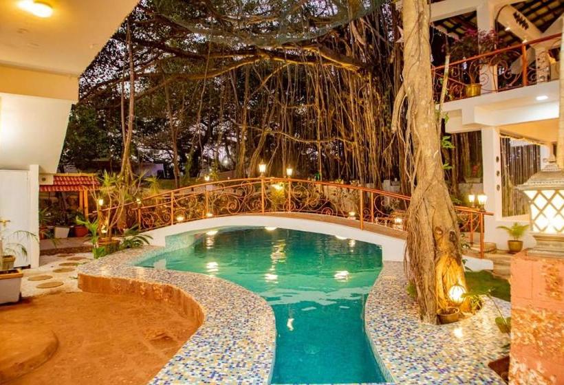 Singing Tree By Nirvana Hotels