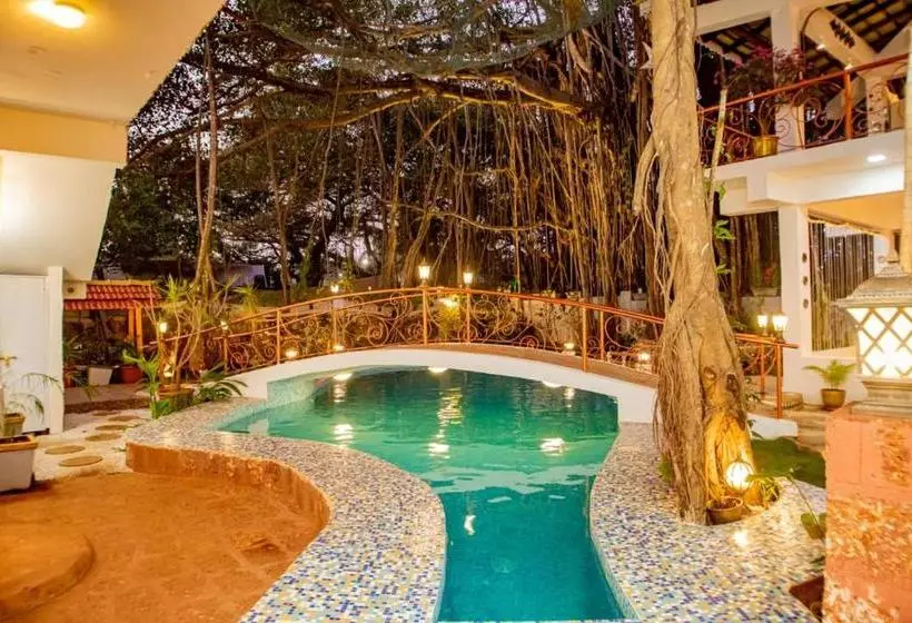 Singing Tree By Nirvana Hotels